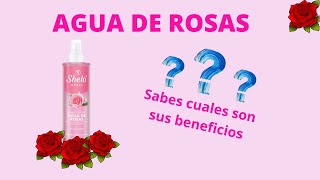 Beneficios del Agua de Rosas de Sheló Nabel