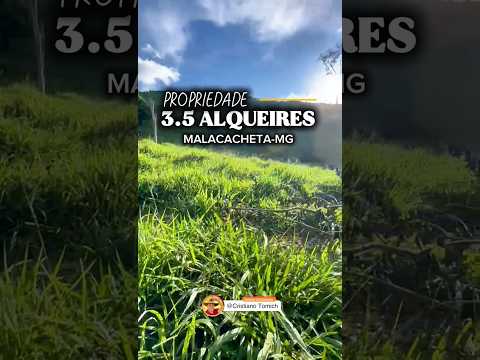EXCELENTE PROPRIEDADE 3.5 ALQUEIRES MALACACHETA-MG R$ 650 MIL #agro #minasgerais #luxo #brasil