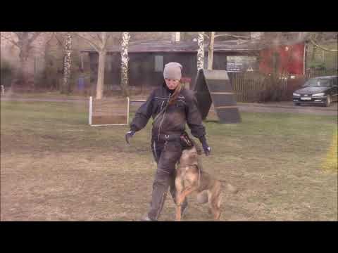 Taffy z Jukasu - protection - 16 months