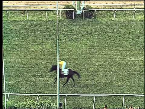 Galoppo 04/07/2015 - 4° corsa