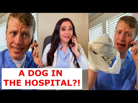A Dog in the Hospital!