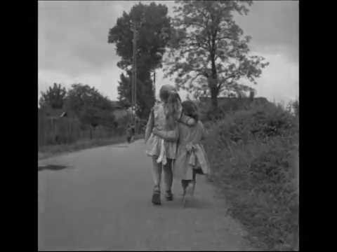 Gerard Lenorman -  Sur le chemin de la vie