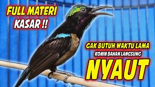 Download lagu PANCINGAN KOLIBRI NINJA GACOR FULL ISIAN ROLL TEMBAK !! COCOK UNTUK TERAPI KONIN AGAR RAJIN BUNYI mp3 Download lagu PANCINGAN KOLIBRI NINJA GACOR FULL ISIAN ROLL TEMBAK !! COCOK UNTUK TERAPI KONIN AGAR RAJIN BUNYI mp3