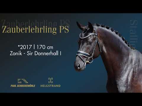 Zauberlehrling PS - Dressurkollektion 2022 Schockemöhle & Helgstrand (DEU)