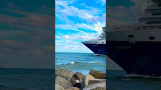 MS Rotterdam 🛳️⚓️#like #share #comment #subscribe #cruiseship #cruise #vacation #shorts #short #wow