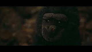 &quot;I Believe in the Sunshine&quot; - for &quot;King of the Road&quot; 2018 - Daphne and the Mystery Machines