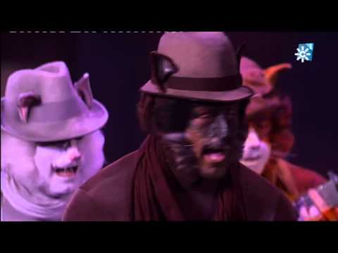 Comparsa Los Gatos Callejeros (2013) - Pasodoble " Recuerdo aquella noche" (Semifinal)