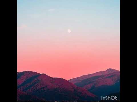 SEGURO TE PIERDO [1 hora/hour] KID FLEX Y SERGE