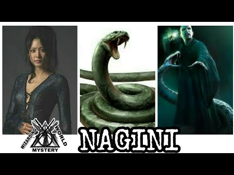 Nagini(THR SNAKE AND LORD VOLDEMORT HORCRUX) biography|occupation,loyalty|♡