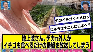 地上波、どでもなくでかいメ□ンがいちごを食べるだけの番組を放送してしまう【ネットの反応】#美女bra