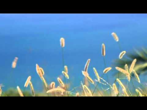 AutoTest: 20110829-1330-HD Quality (960x720)