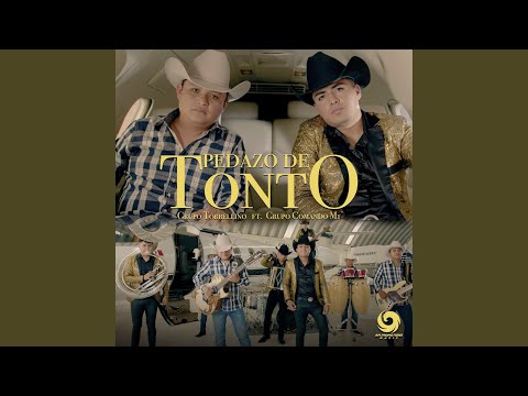 Pedazo de Tonto