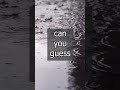 Try Not To Laugh Wet Dry Trynottolaugh Funny Getleboss