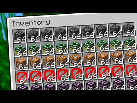 I obtained every creative item in Minecraft... [Lifesteal]