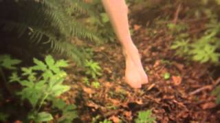 Alcest - Les Voyages De L'Âme (promo clip)