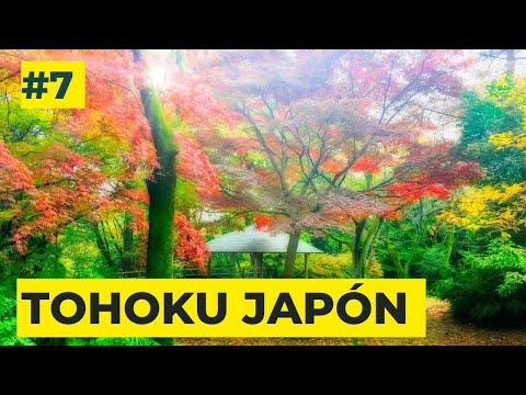Españoles por el Mundo Japón: Un día en la vida de los españoles que viven en Tohoku.