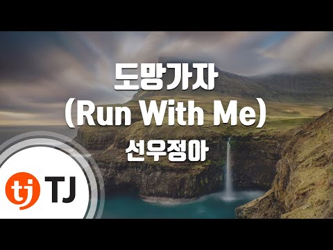 [TJ노래방 / 남자키] 도망가자 - 선우정아 / TJ Karaoke