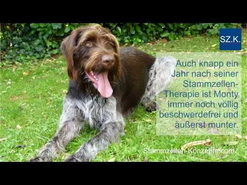 Plattfüße und Gelenke Schmerzen im Rücken eines Kindes mit Bronchitis