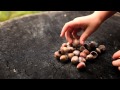 Sara Groves - "Childhood Summer" Music Video ...