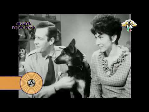 Freddie & The Dreamers - You Were Made For Me (1963)