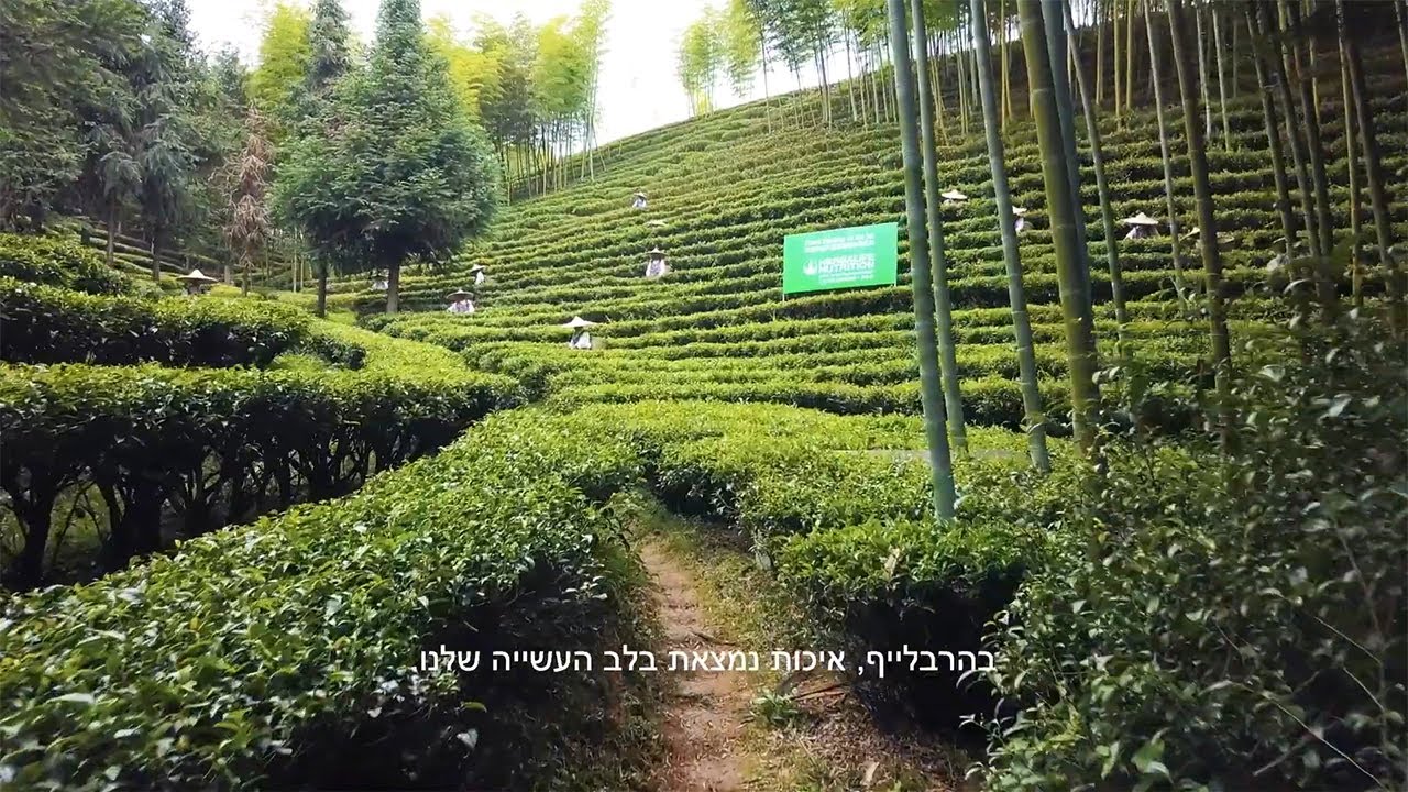 מהשדה לצלחת - SEED TO FEED
