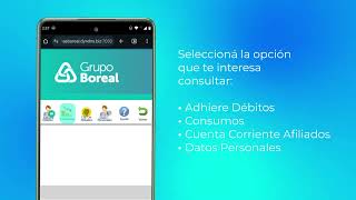 App Boreal Móvil: ¿Cómo uso mi Cuenta Corriente?
