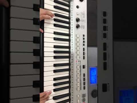 Where have all the flowers gone- keyboard cover by Medhansh Shirodker