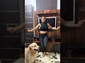 Bellydance Bellydance Dshivangisharma Shivangisharma Shortvideo Viral