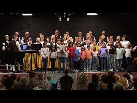 Mein Niederösterreich - Volksschulchor &  Chor- und Volkstanzgruppe Krems/Lerchenfeld