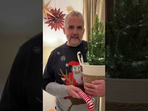 Neues Kinder-Weihnachtslied🎄✨🎶