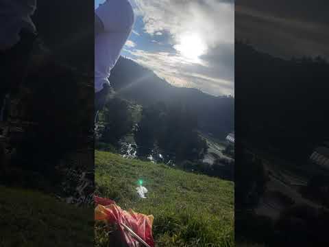 fresas el rosal sibaté cundinamarca