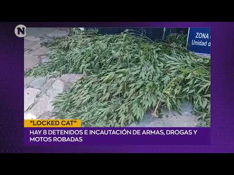 Operativo “Locked Cat”: ocho personas detenidas tras allanamientos en Cerro Pelado