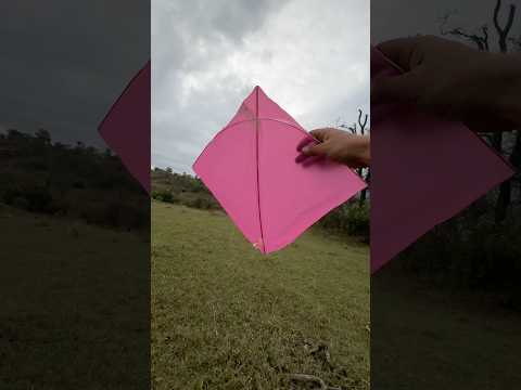 Baratão rosa veio voado do festival de São José da Lapa MG!!! #kite #patang #toys #xepa #volantini