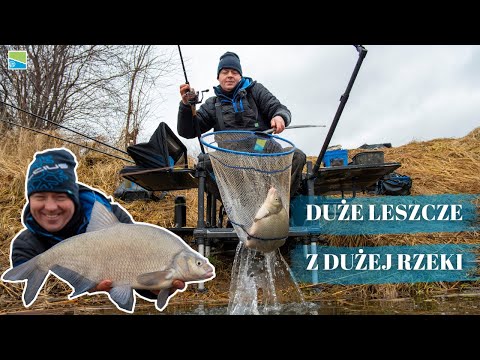 DUŻE LESZCZE z DUŻEJ RZEKI | Adam Niemiec