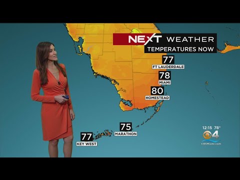 NEXT Weather: Miami + South Florida Forecast - Monday Afternoon 1/9/23