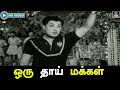 ஒரு தாய் மக்கள் | Oru Thai Makkal | ஆனந்த ஜோதி திரைப்பட பாடல் | MGR | TMS | HD