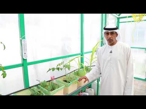 img-video