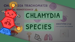 All You Need to Know About Chlamydia Species