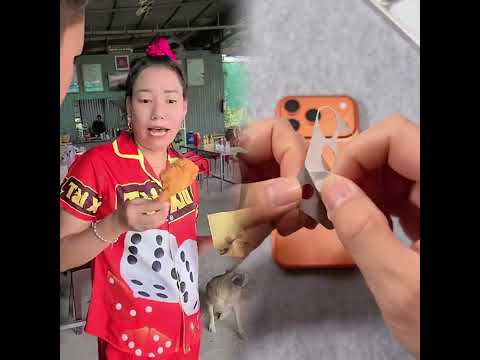 Nếu bạn thích video này, hãy thích và theo dõi