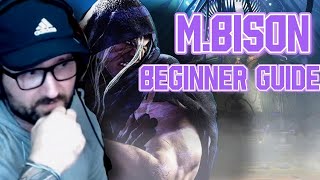 Beginner Guide