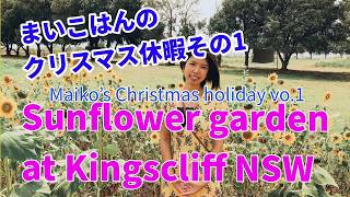 まいこはんのクリスマス休暇その1【Maiko in Brisbane】#9