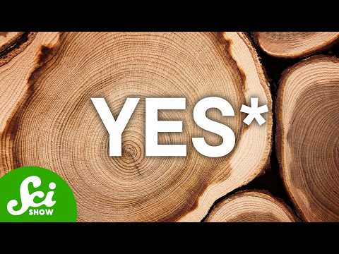 Can You Melt Wood?