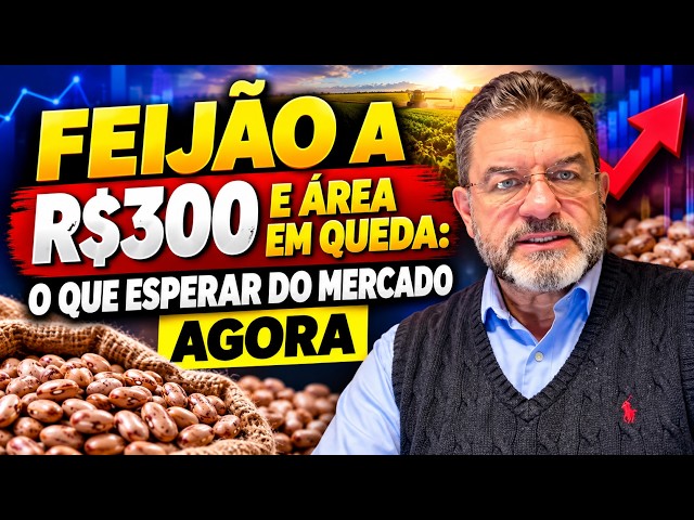 Feijão a R$300 e área em queda: o que esperar do mercado agora