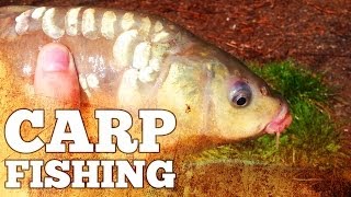 preview picture of video 'Float / Feeder Fishing | Carp Fishing | Ghost & Mirror Carp'