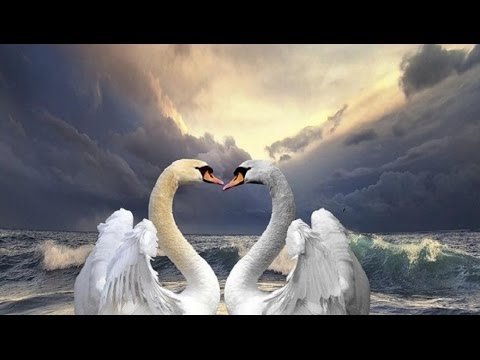 THE BEST SONGS OF RICHARD CLAYDERMAN&HT