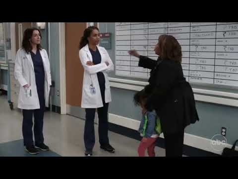 Amelia, Maggie and Bailey | Grey's anatomy season 18x17 | scene 1