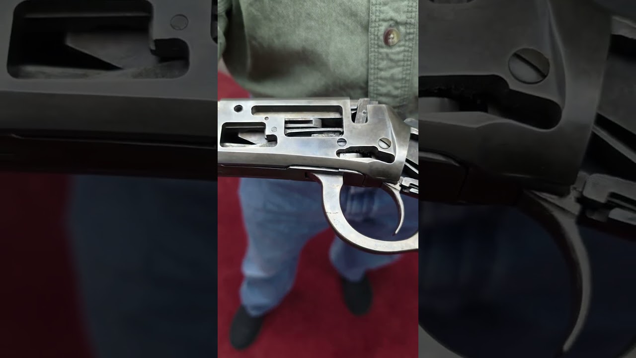 Look Inside a Mare's Leg