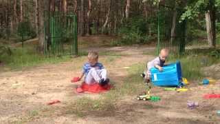 biedroneczki są w kropeczki