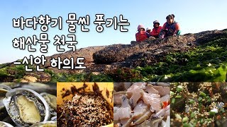 preview picture of video '톳, 바위옷, 전복, 낙지. 해산물 천국 '하의도' [섬섬썸]'