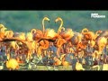 Flamingos Fly - Van Morrison